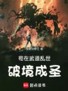 苟在武道乱世破境成圣